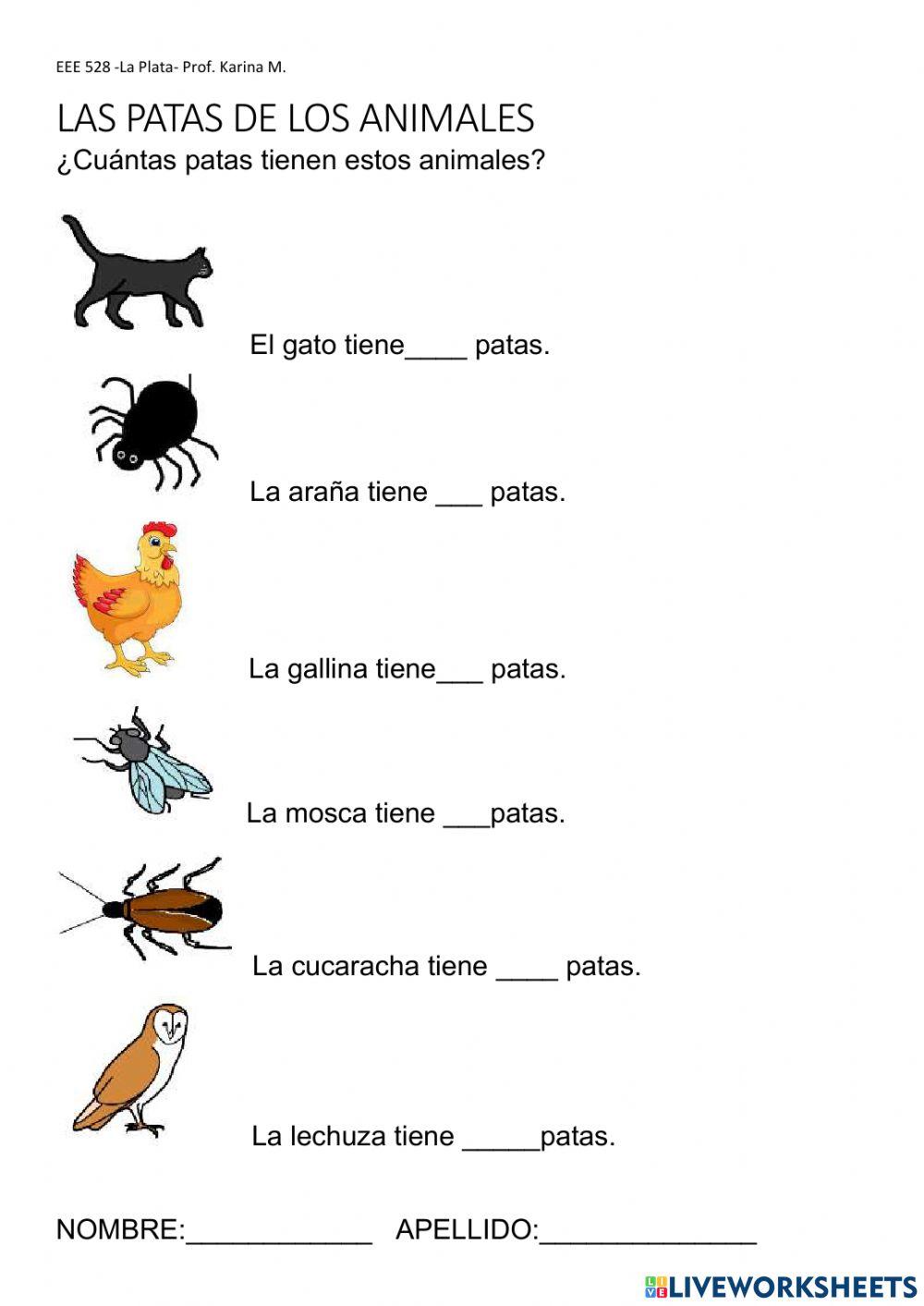 Las patas de los animales