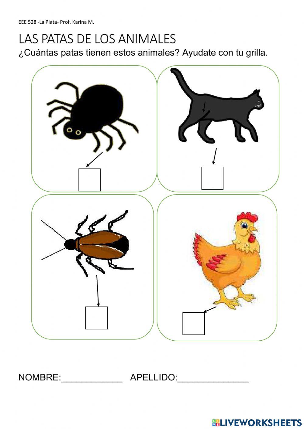 Las patas de los animales-1