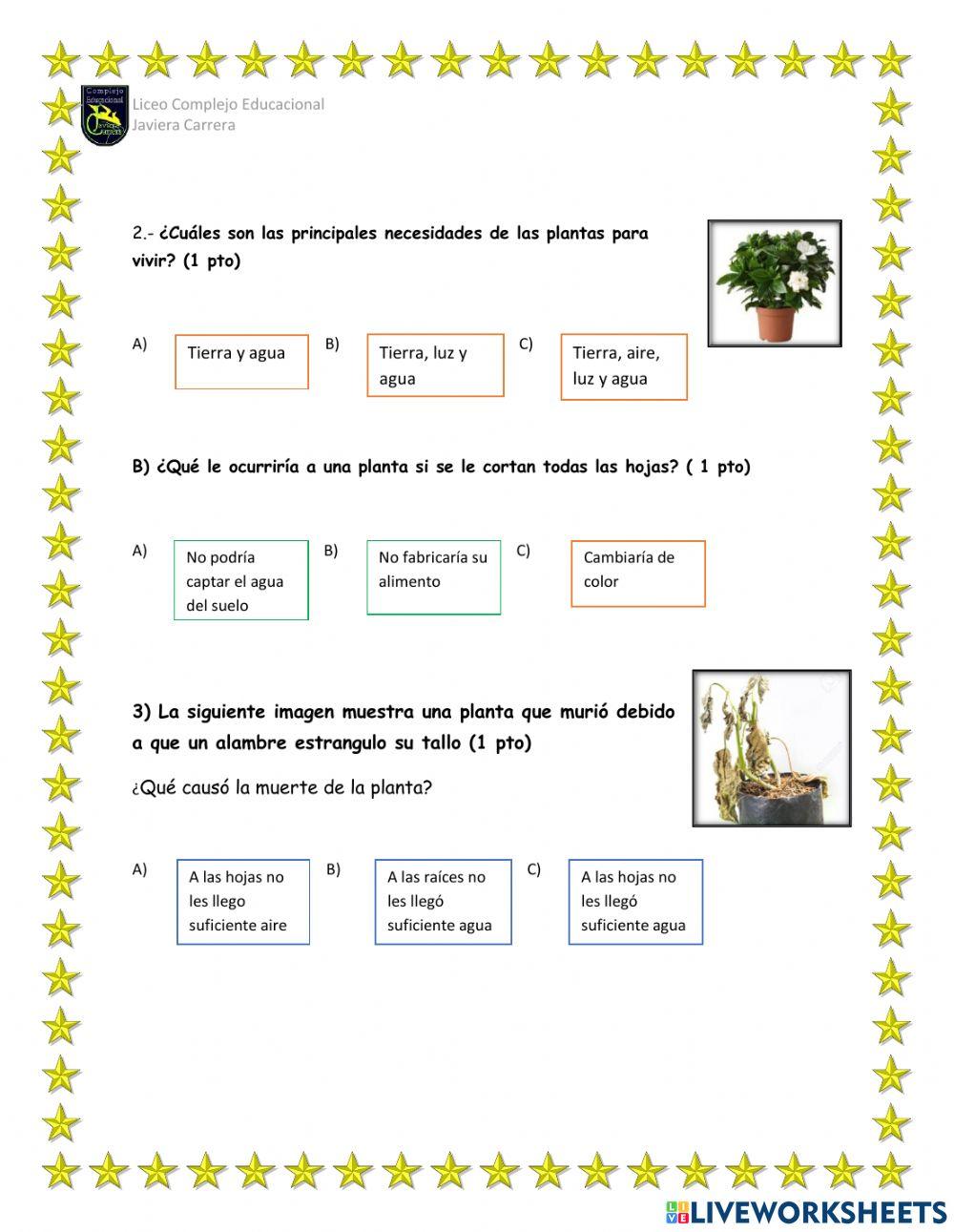Prueba Ciencias naturales Las plantas