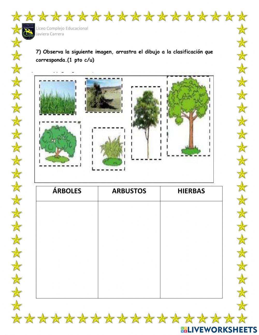 Prueba Ciencias naturales Las plantas