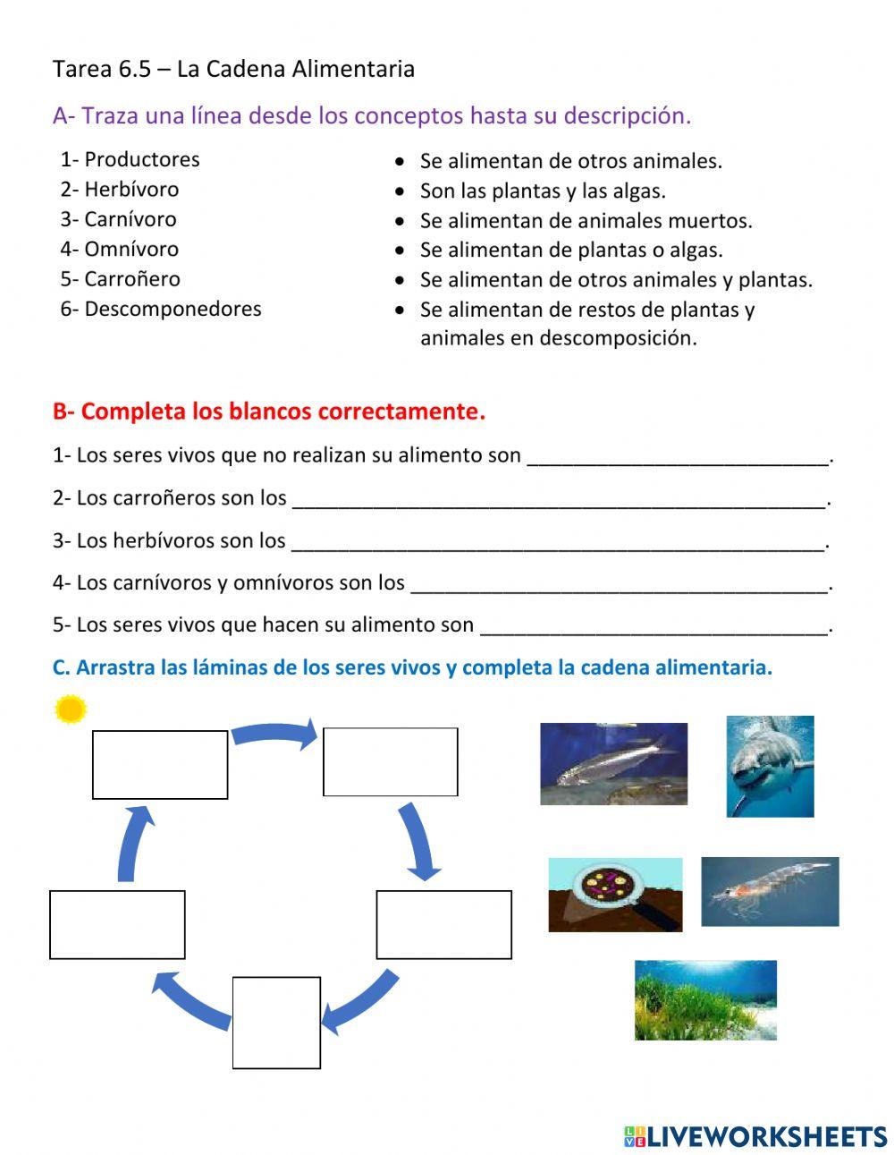 Cadena Alimentaria