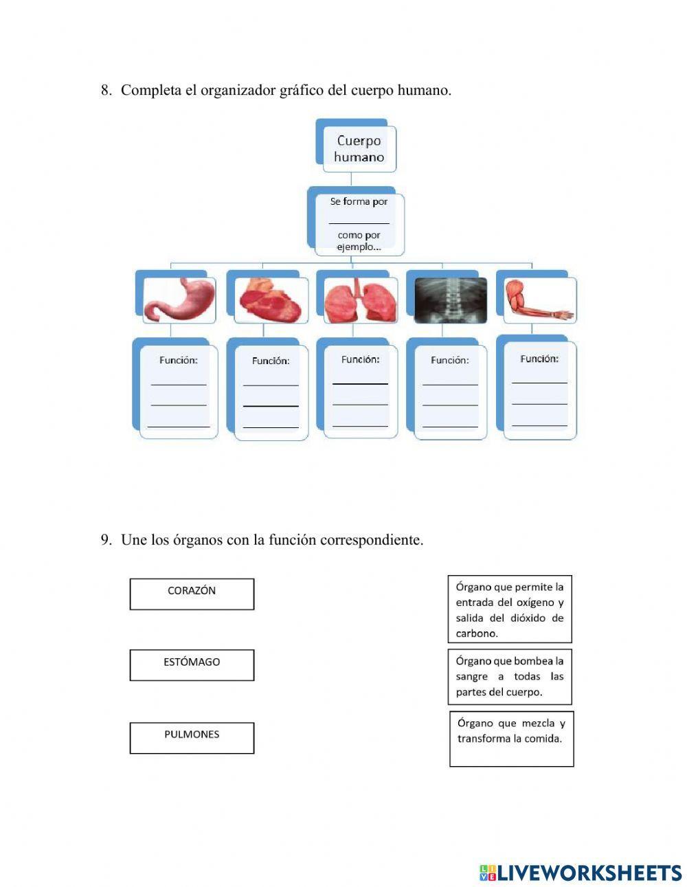 Evaluación ciencias naturales