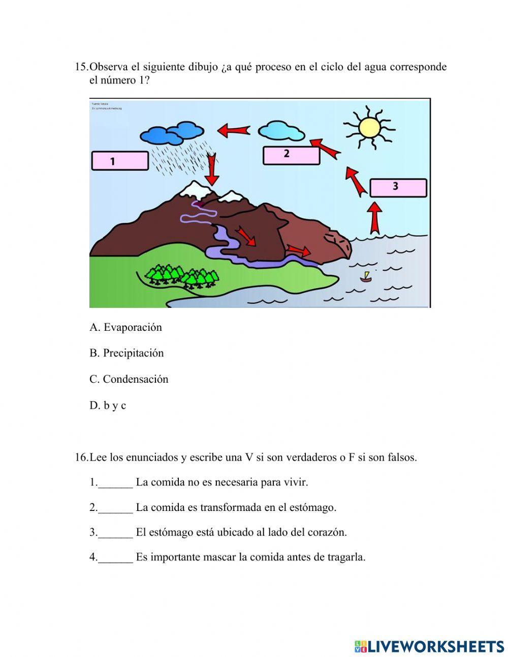 Evaluación ciencias naturales