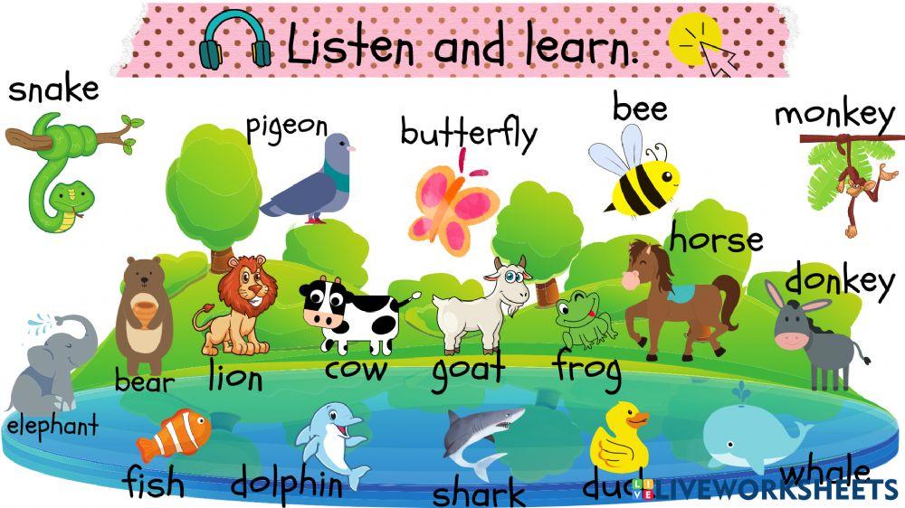 3.sınıf 10.ünite nature