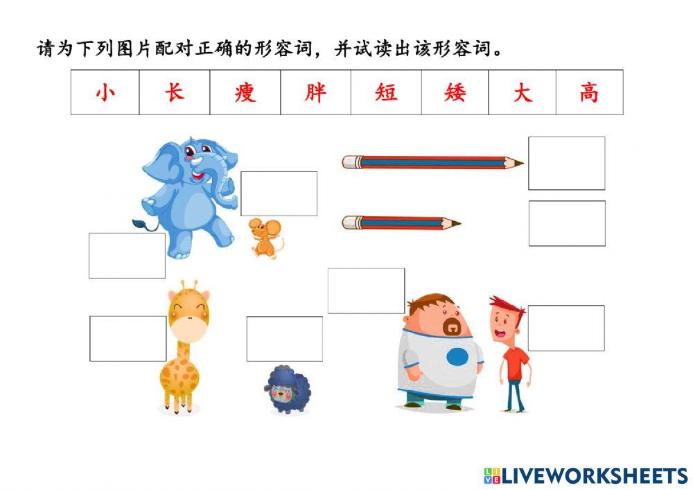 许老师汉语学习基础课程