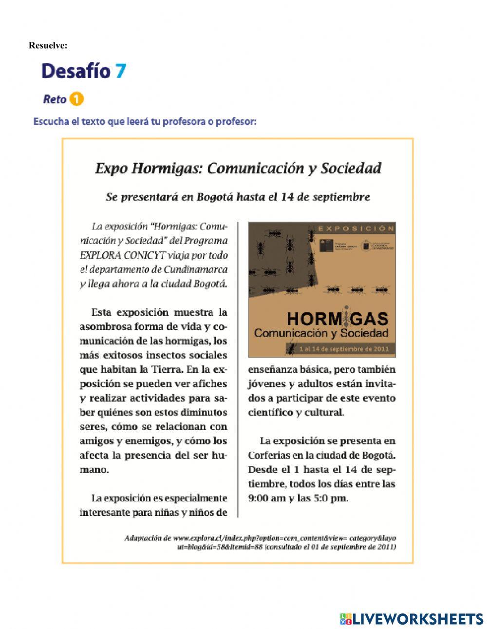 Guía nº 6 español