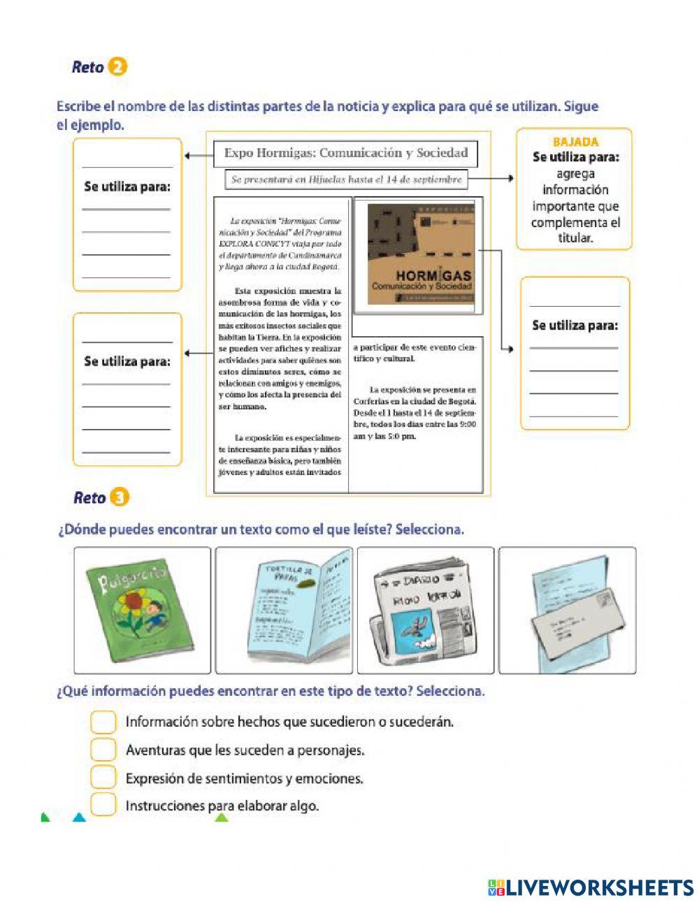 Guía nº 6 español