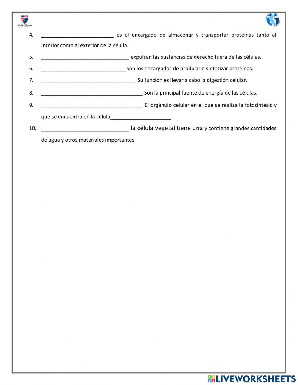 Partes y organelos de la célula