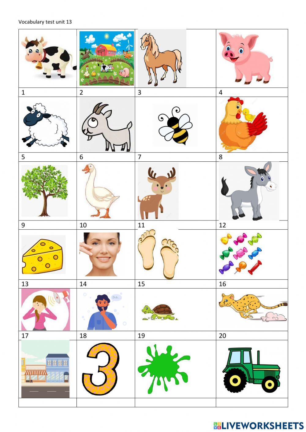 Vocabulary Family and friends2 unit 13