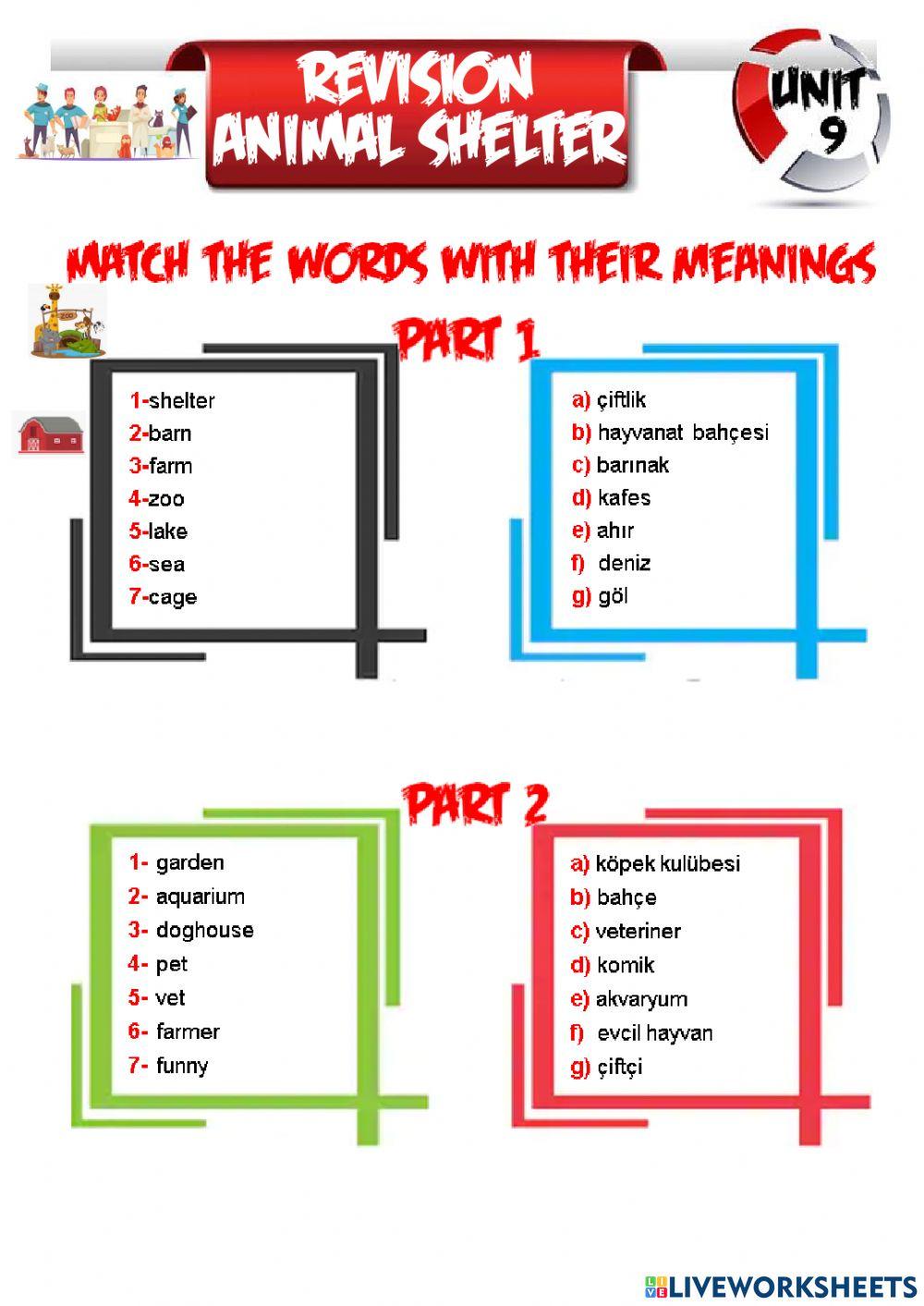 5th grade unit 9 animal shelter