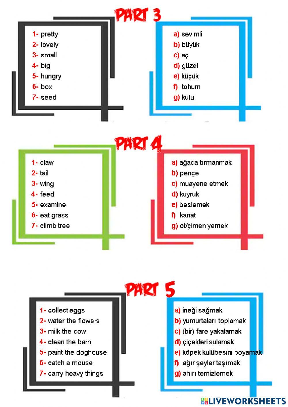 5th grade unit 9 animal shelter