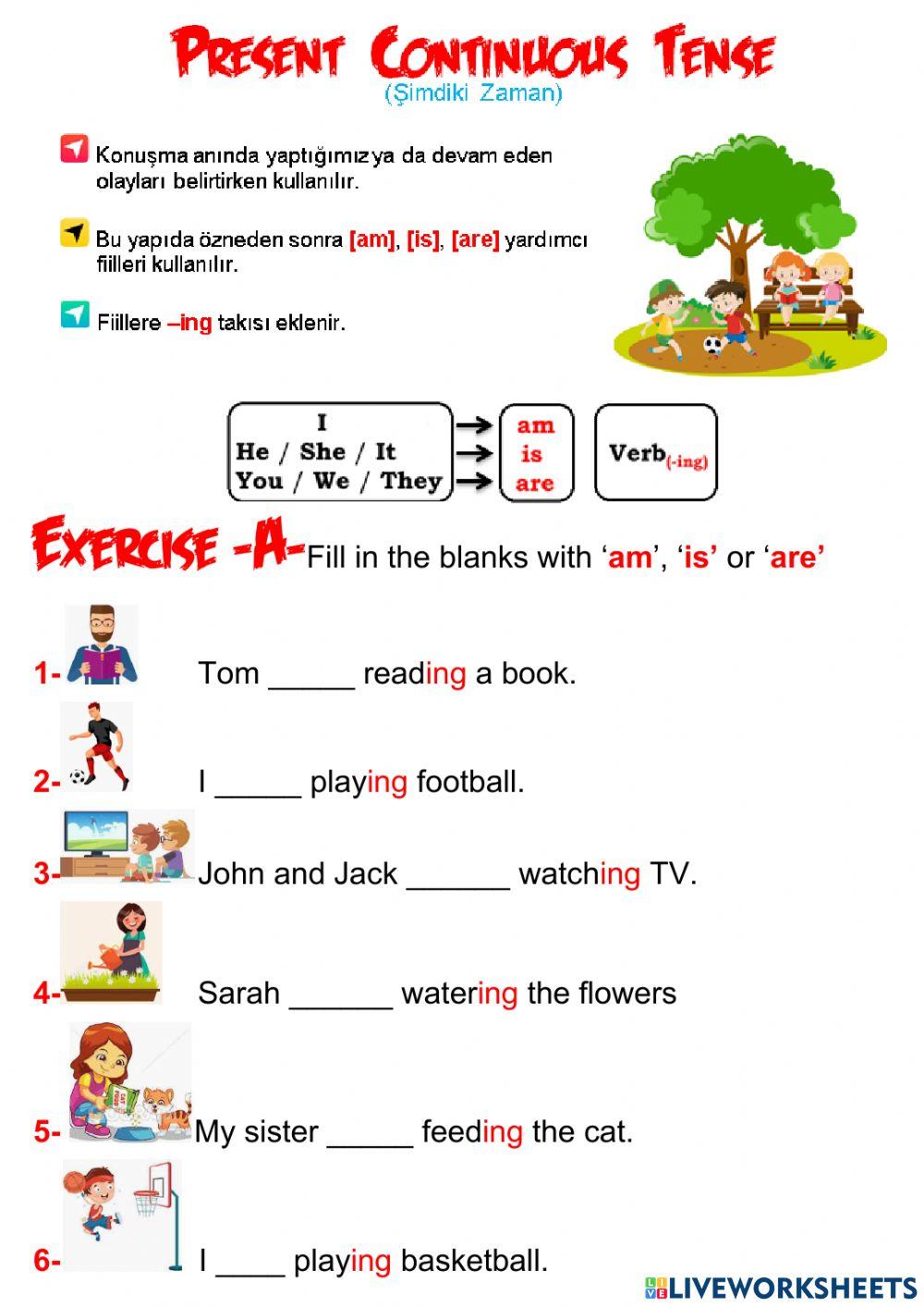 5th grade unit 9 animal shelter