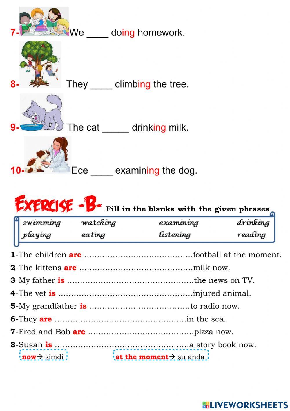 5th grade unit 9 animal shelter
