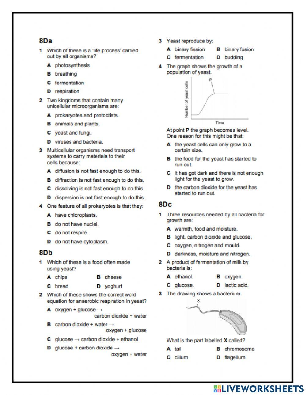 Unicellular organisms End of unit practice quiz