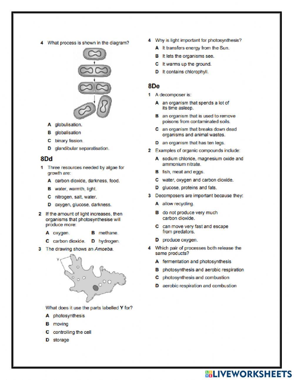Unicellular organisms End of unit practice quiz