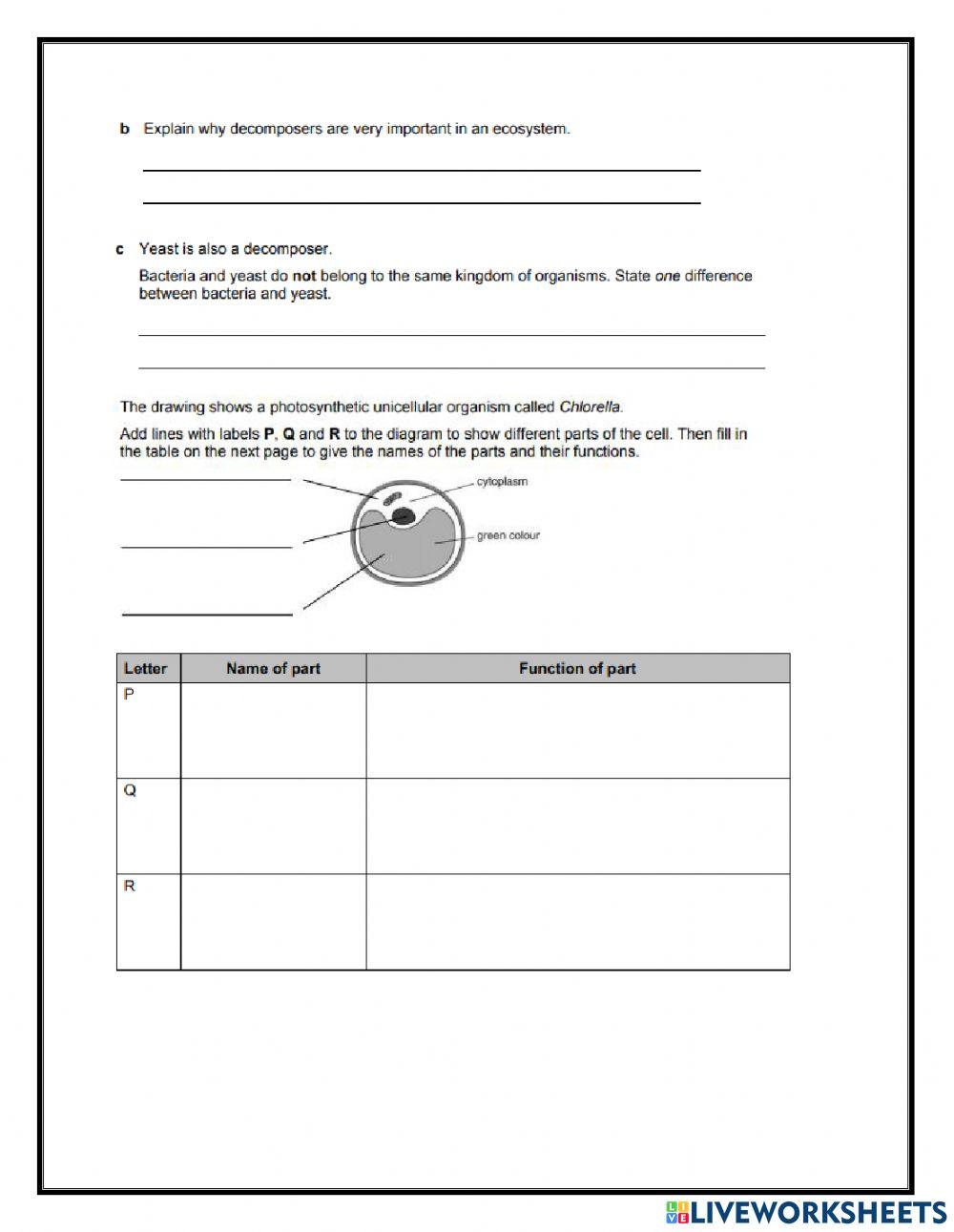 Unicellular organisms End of unit practice quiz