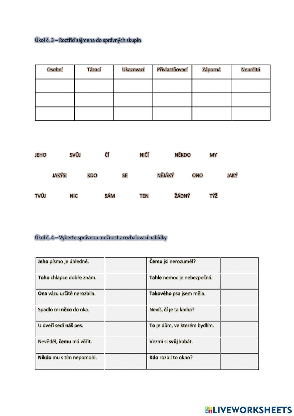 Pracovní list na zájmena