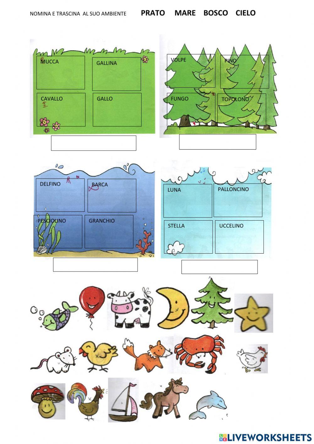 Gli ambienti della natura