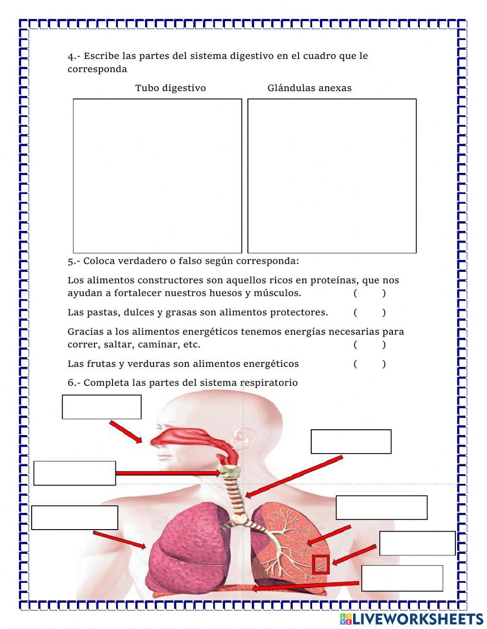 Examen bimestral de ciencia