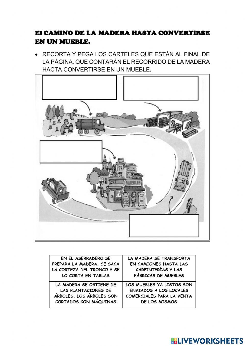 2º Grado El camino de la madera