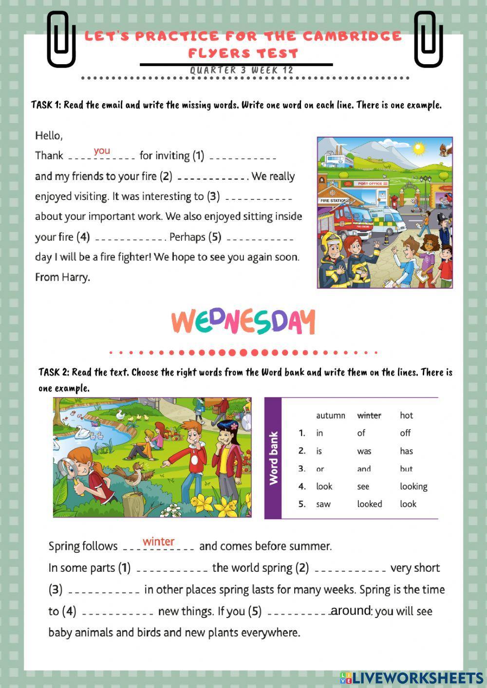 flyers-practice-972435-mine-turan-live-worksheets