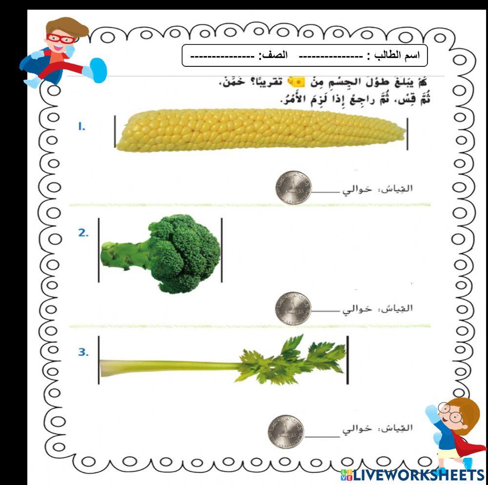القياس6