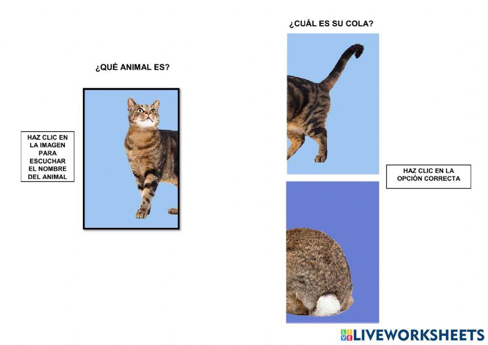 Reconoce las mitades