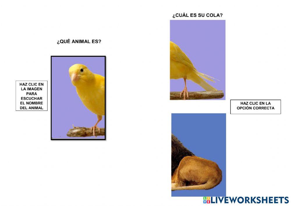 Reconoce las mitades