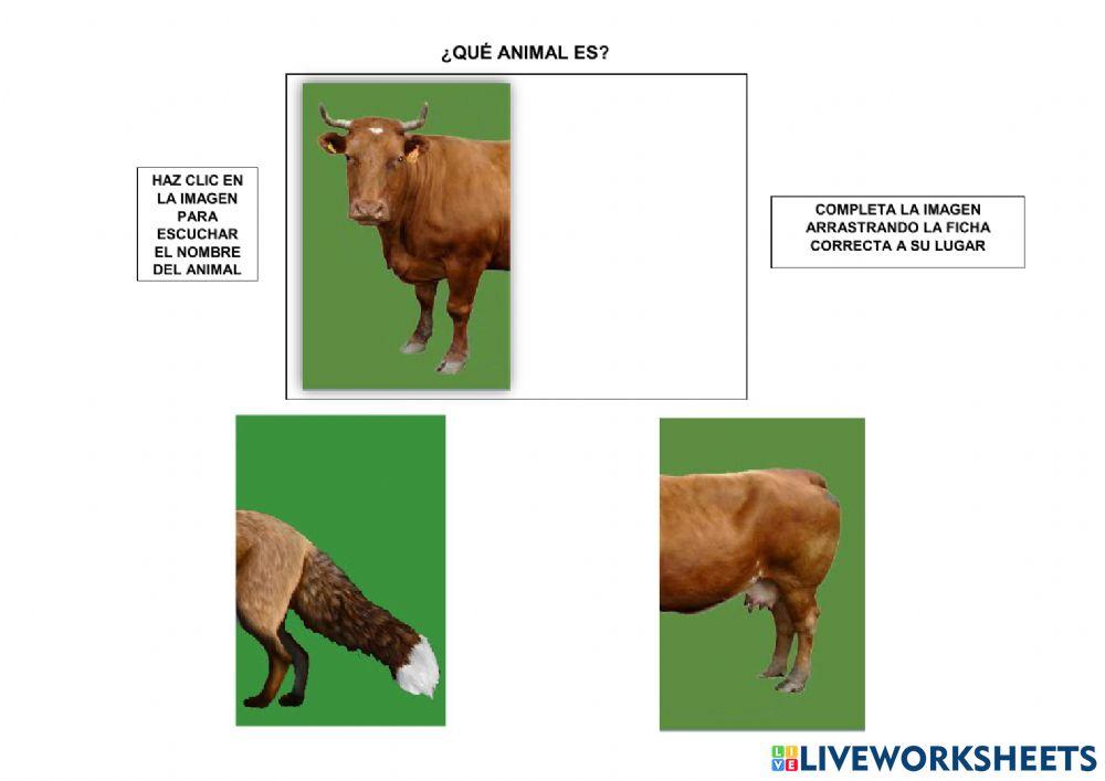 Reconoce las mitades