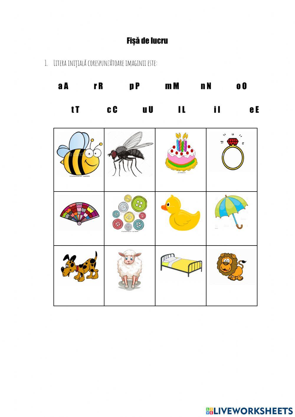 Fișă de lucru- CLR