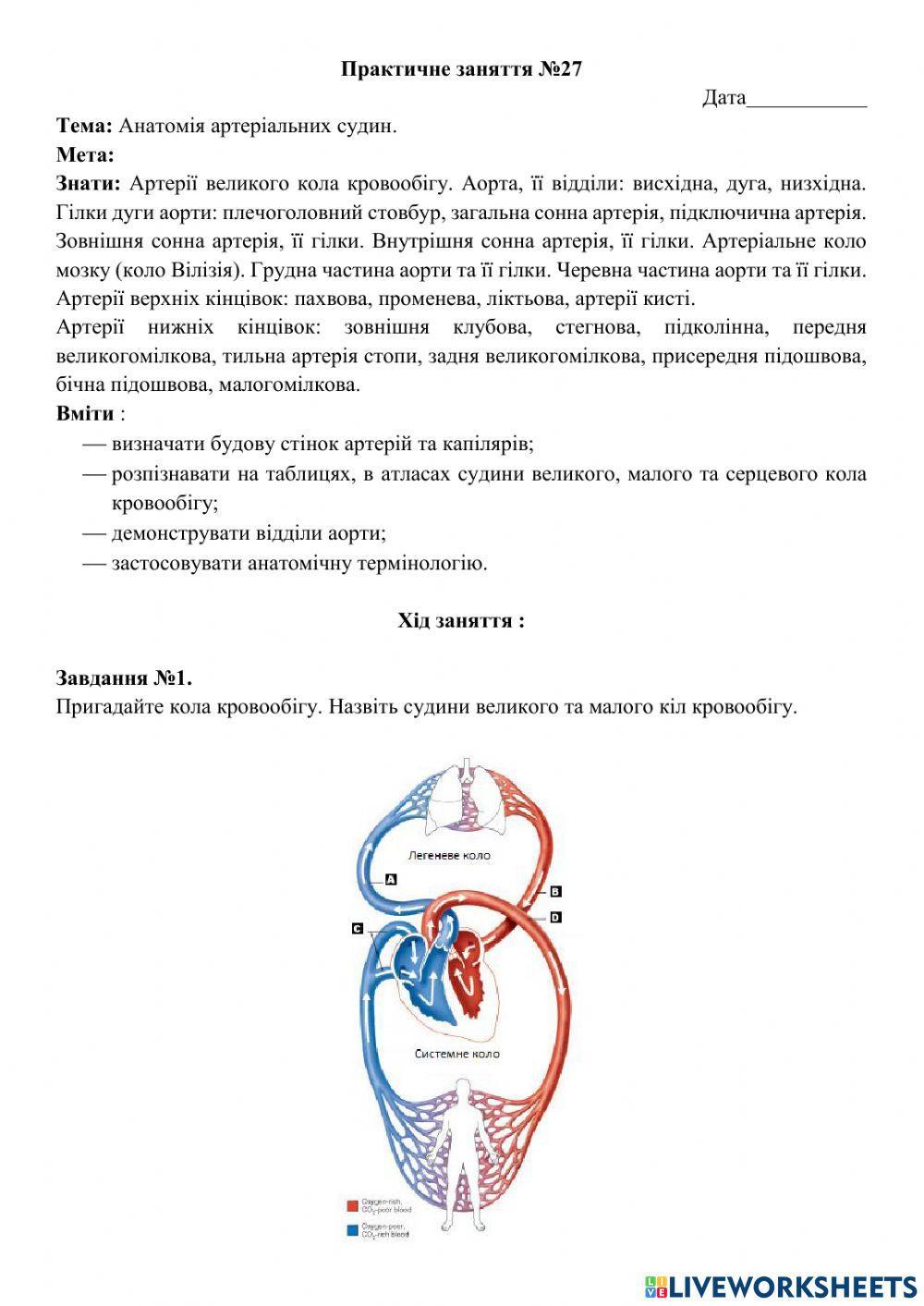 Практичне заняття №27