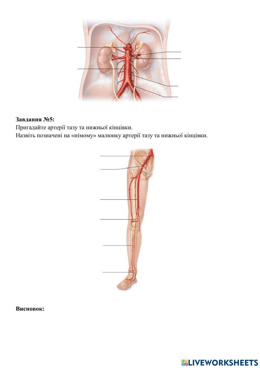 Практичне заняття №27