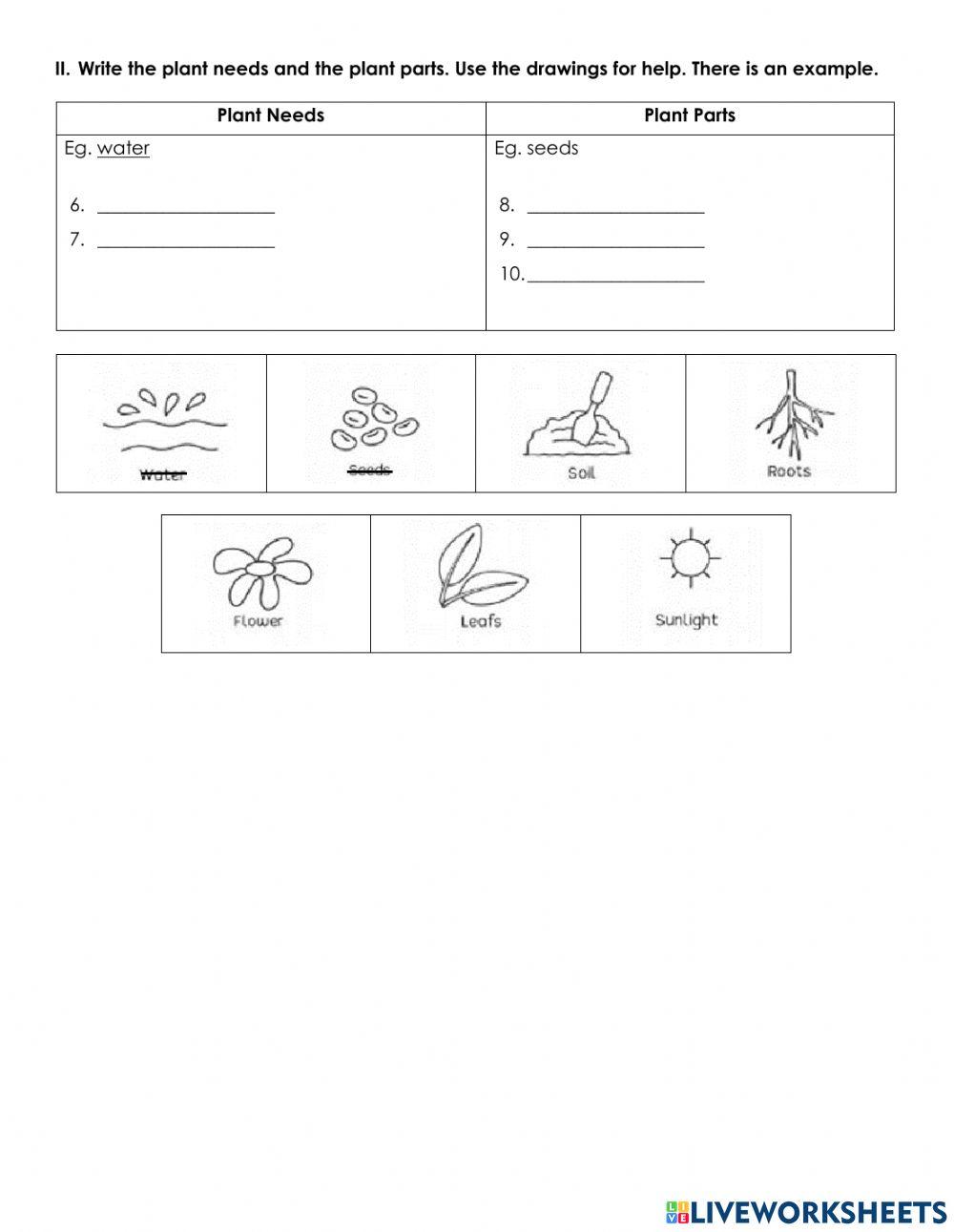 April Quiz - Second Grade - Instructions to Grow a Plant