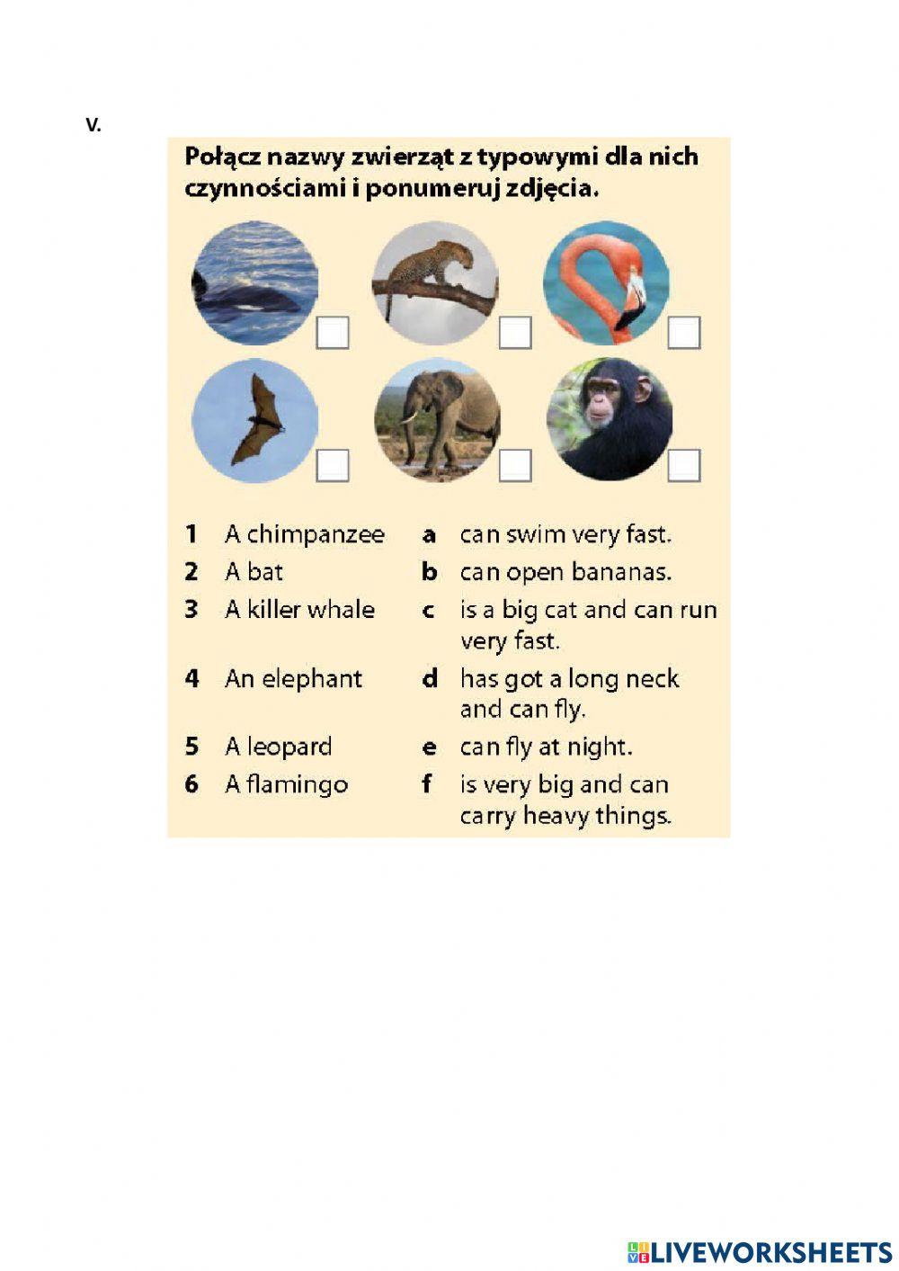 Unit 6 klasówka IV K