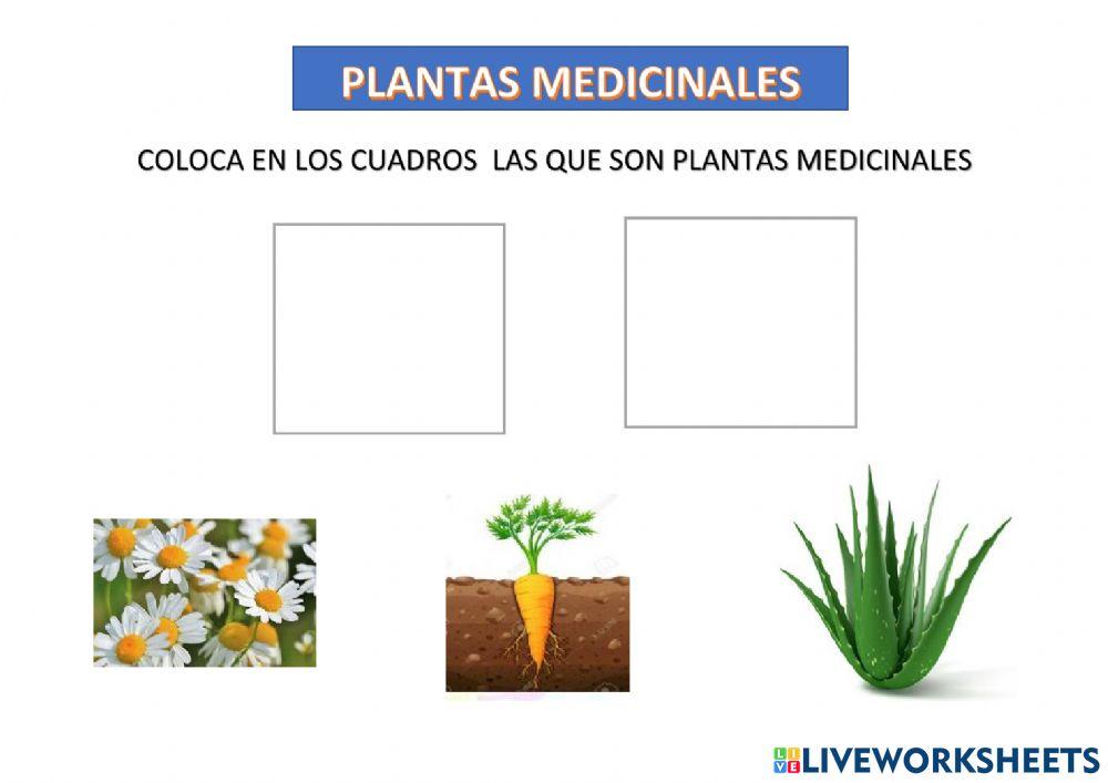 Las plantas medicinales