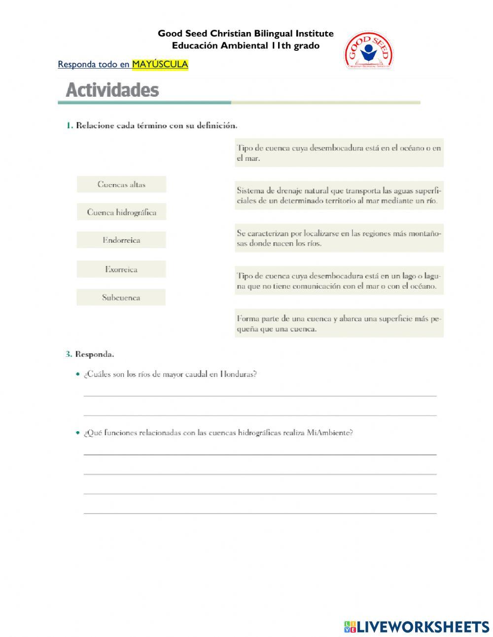 Actividades p. 81