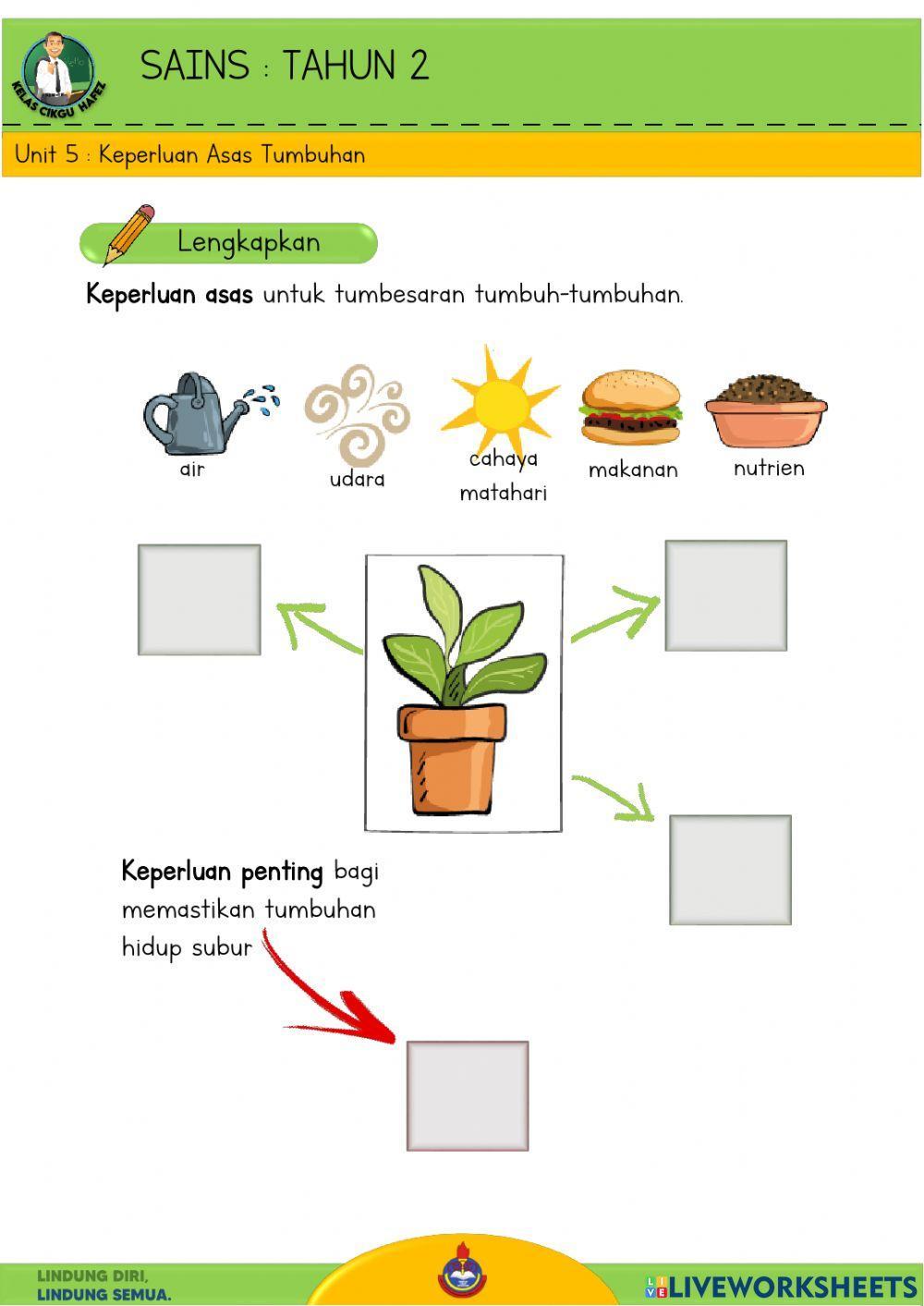 Sains T2 - Keperluan asas tumbesaran tumbuhan