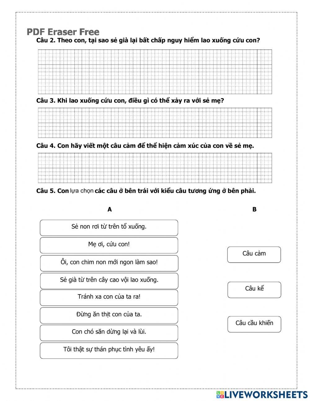 Ôn tập về các kiểu câu