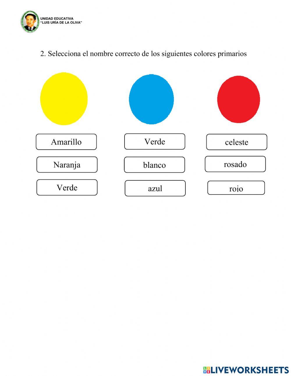 Evaluación Artes Plasticas