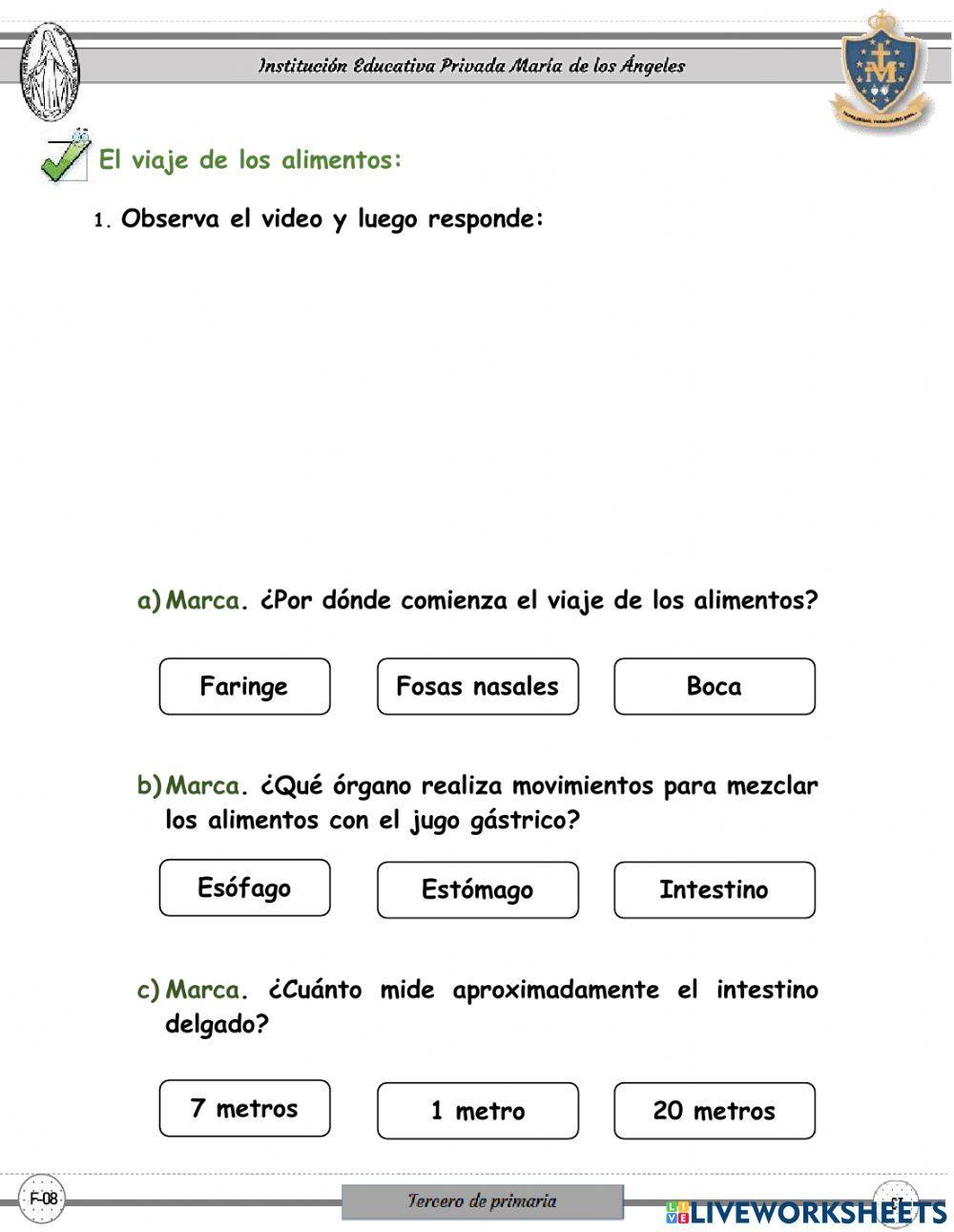 La digestión y el aparato digestivo
