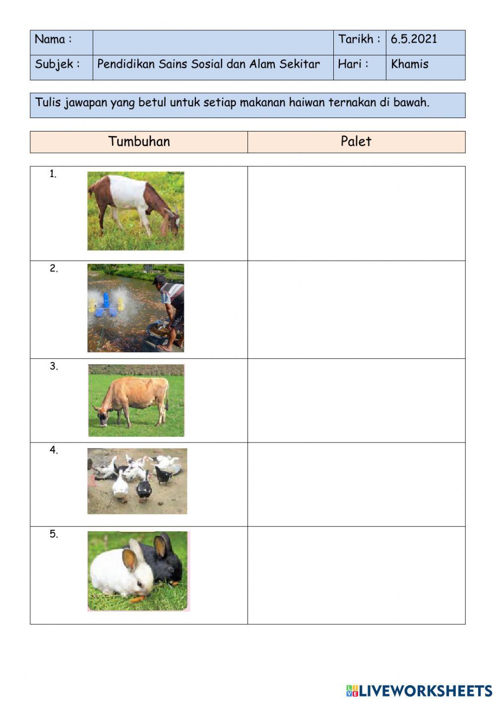 Latihan : makanan haiwan ternakan