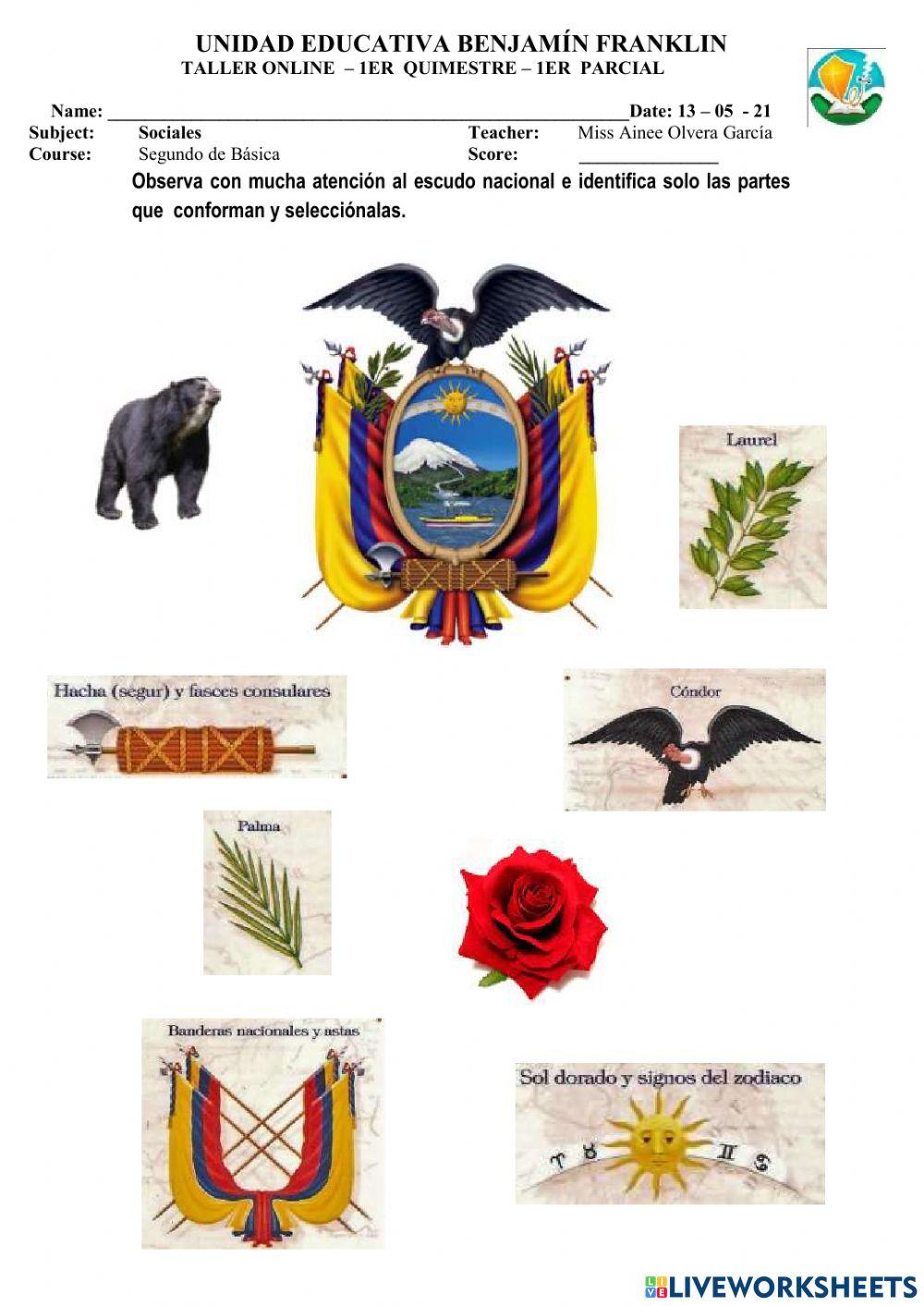 Elementos del escudo