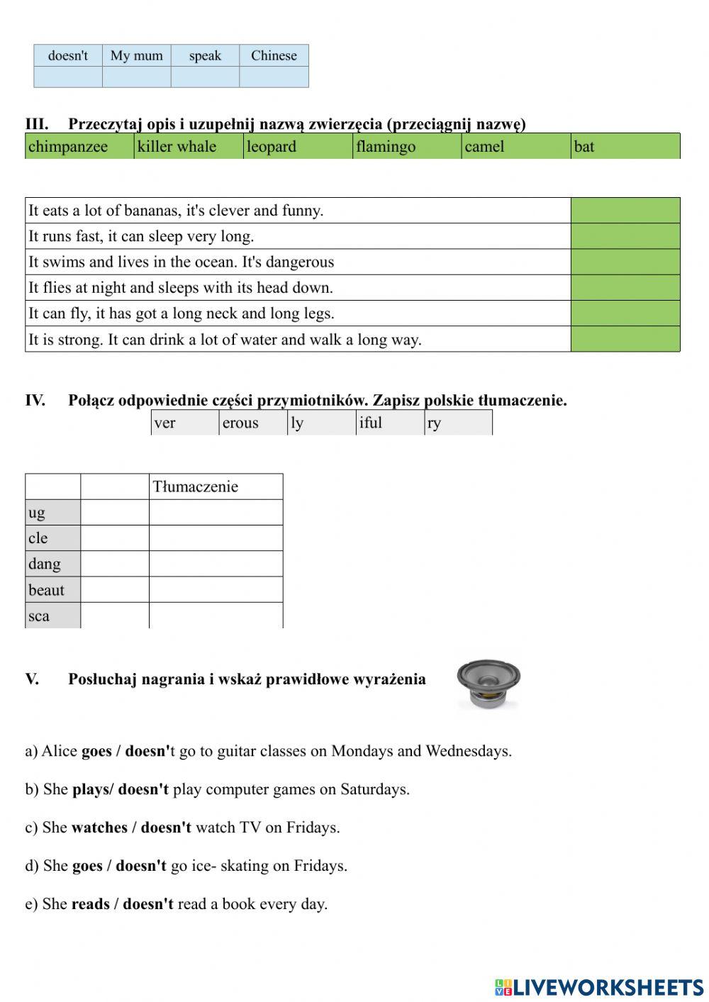 Unit 6 kl. IV klasówka D