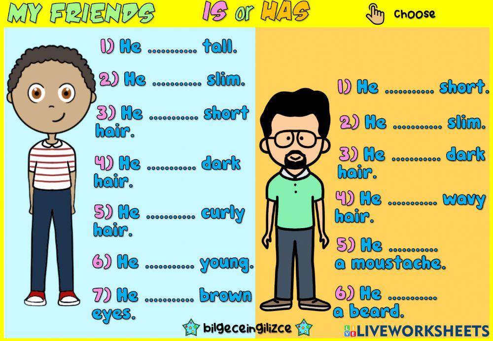 Describing People (Is or Has) Describing People (Is or Has)