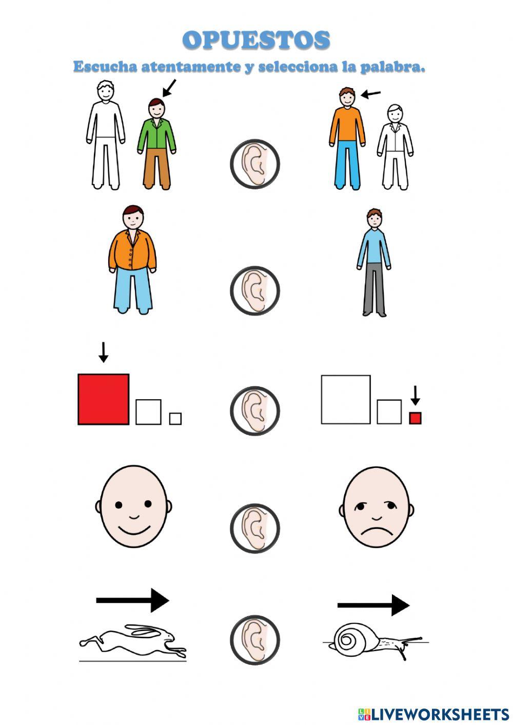 opuestos selección 2