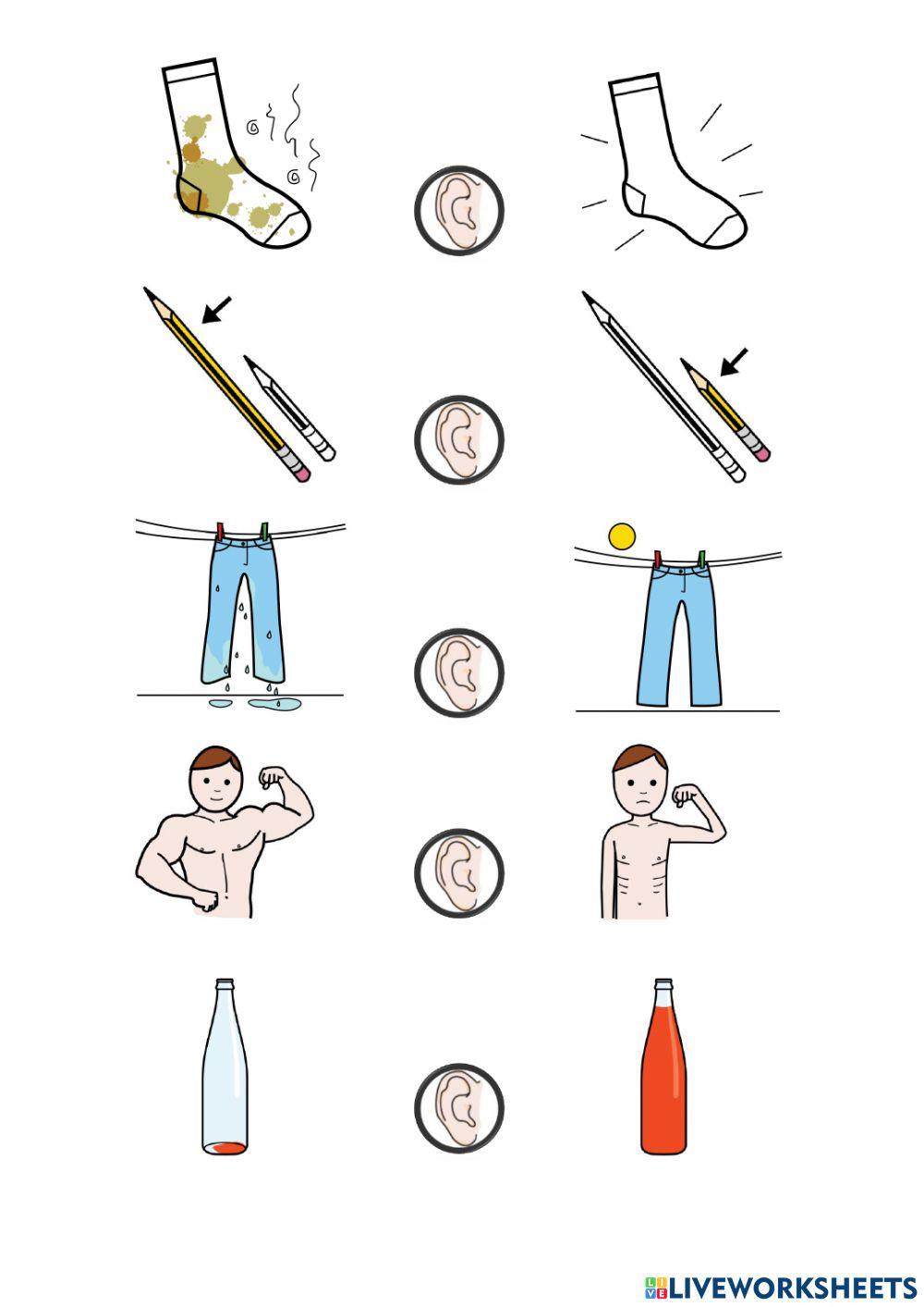 opuestos selección 2