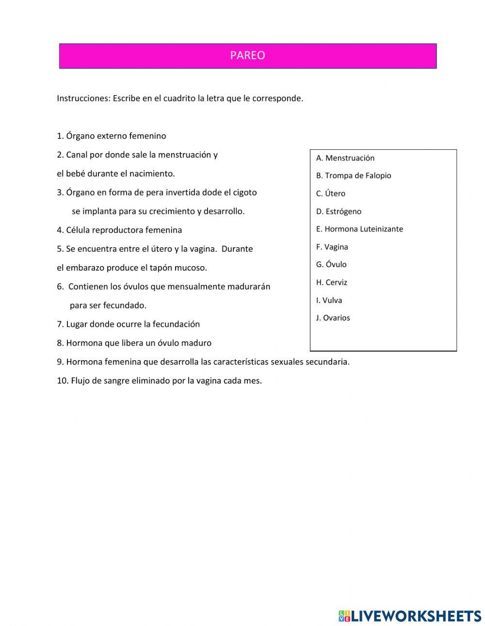 Sistema reproductor Femenino