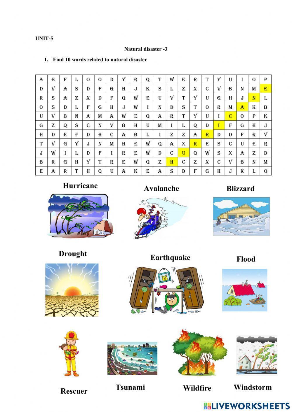 11 анги Байгалийн гамшиг exercise | Live Worksheets