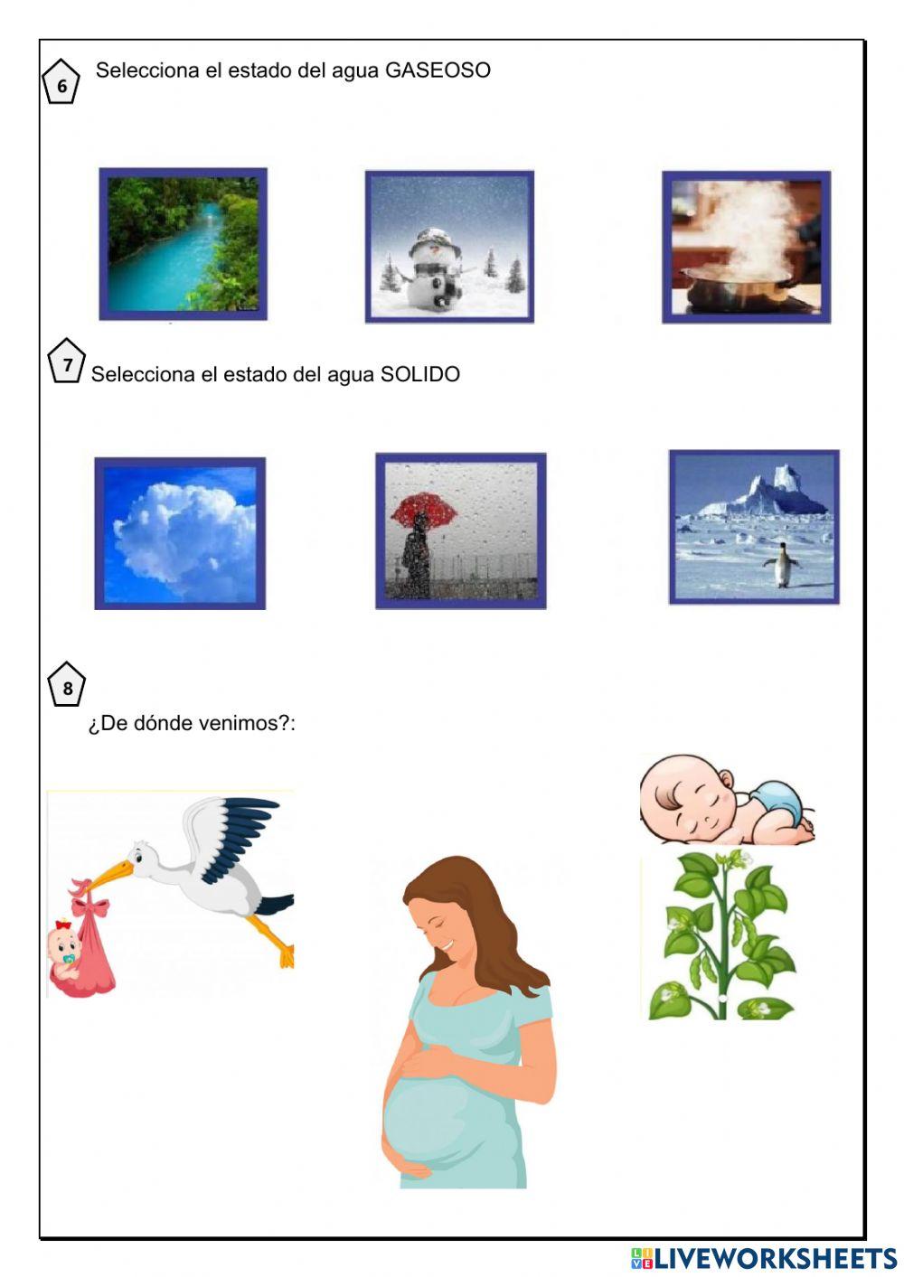 Examen de ciencia y ambiente