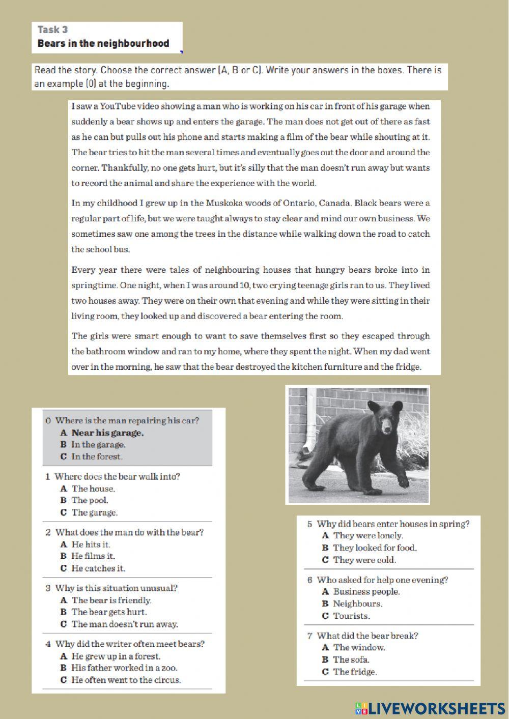 Idegennyelvi mérés Angol 8. 2018